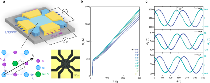 Anisotropic phase stiffness in infinite-layer nickelates superconductors