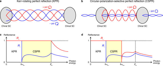Circular-polarization-selective perfect reflection from chiral superconductors