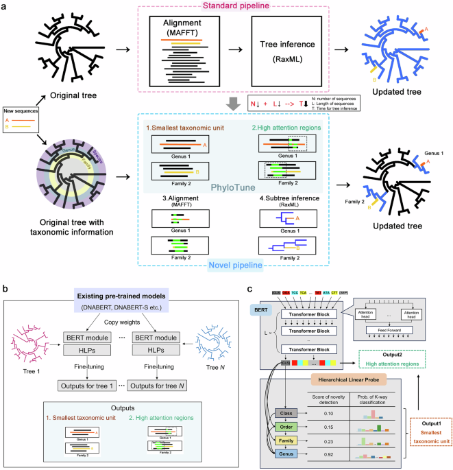 PhyloTune: An efficient method to accelerate phylogenetic updates using a pretrained DNA language model