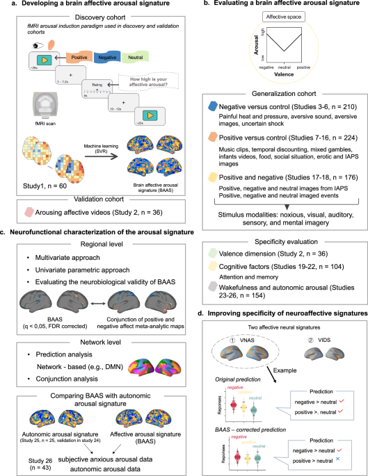 A neurofunctional signature of affective arousal generalizes across valence domains and distinguishes subjective experience from autonomic reactivity