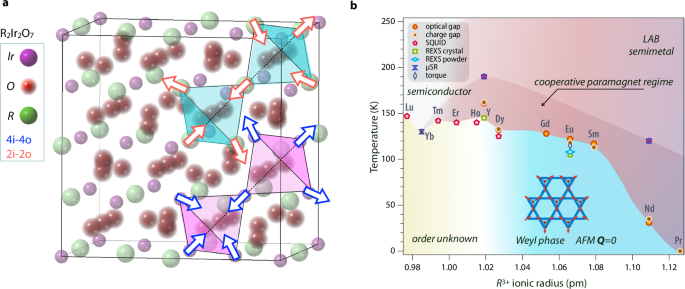 Spectrally sharp magnetic excitations above the critical temperature in a frustrated Weyl semimetal