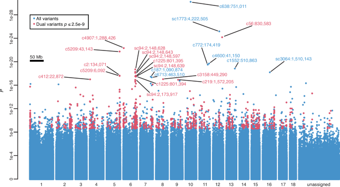 Genes linked to schistosome resistance identified in a genome-wide association study of African snail vectors