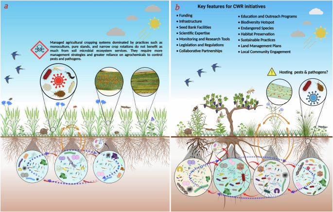 Blueprints for sustainable plant production through the utilization of crop wild relatives and their microbiomes