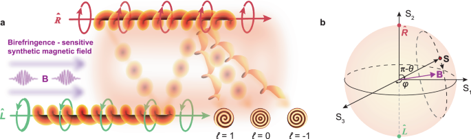 Precise detection of tiny birefringence with accuracy reaching 10−11 level
