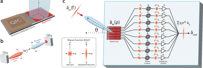 An on-chip phased array for non-classical light