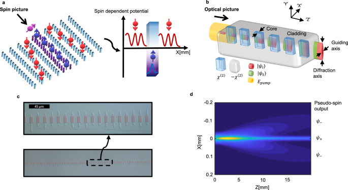 Pseudo-spin light circuits in nonlinear photonic crystals