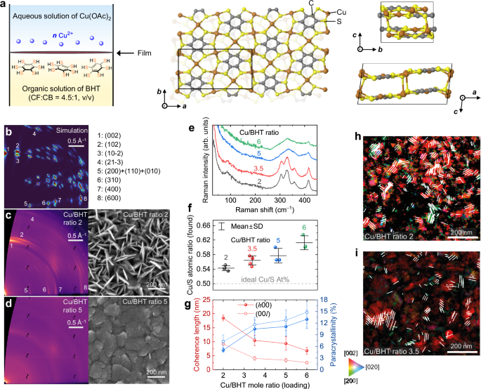 Defect-tolerant electron and defect-sensitive phonon transport in quasi-2D conjugated coordination polymers