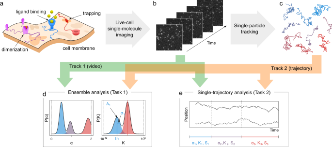 Quantitative evaluation of methods to analyze motion changes in single-particle experiments