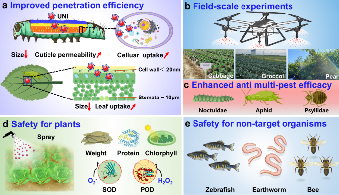 A unimolecule nanopesticide delivery system applied in field scale for enhanced pest control