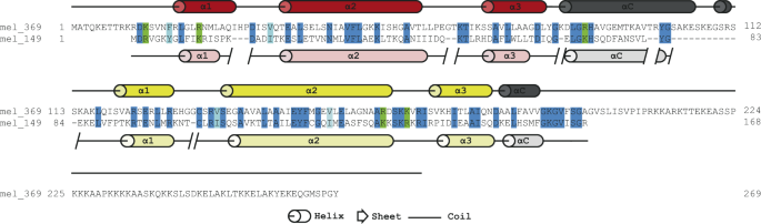 Melbournevirus encodes a shorter H2B-H2A doublet histone variant that forms structurally distinct nucleosome structures