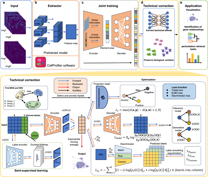 Triple-effect correction for Cell Painting data with contrastive and domain-adversarial learning