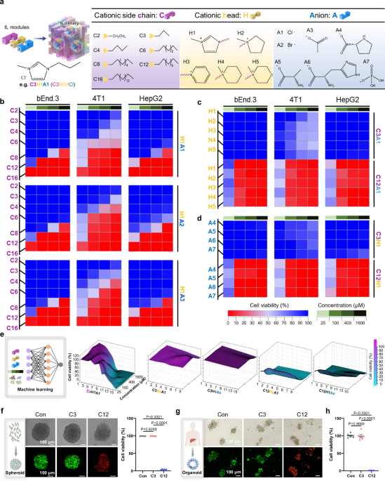 Cationic alkyl chain length and nanoaggregate form of ionic liquids dominate biocompatibility and toxicity