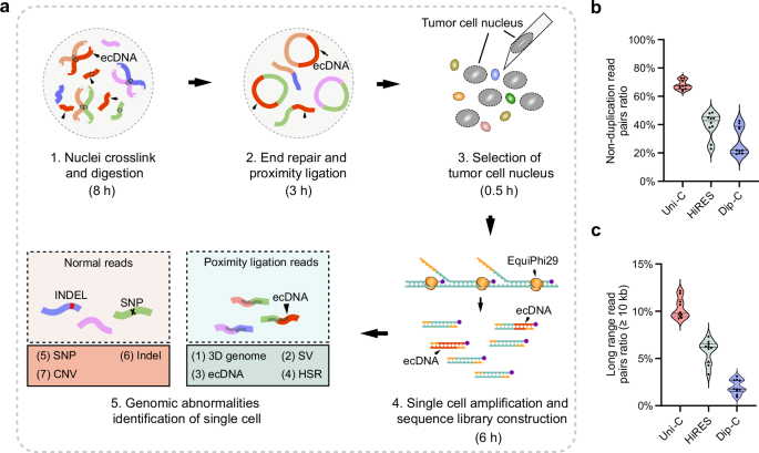Identification of multiple genomic alterations and prediction of neoantigens from circulating tumor cells at the single-cell level