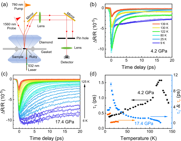 Collapse of density wave and emergence of superconductivity in pressurized-La4Ni3O10 evidenced by ultrafast spectroscopy