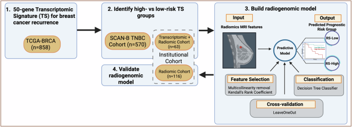 A 20-feature radiomic signature of triple-negative breast cancer identifies patients at high risk of death