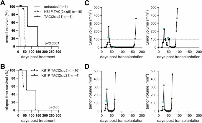 Enhanced bioluminescence imaging of tumor cells surviving chemotherapy in a murine model of triple-negative breast cancer