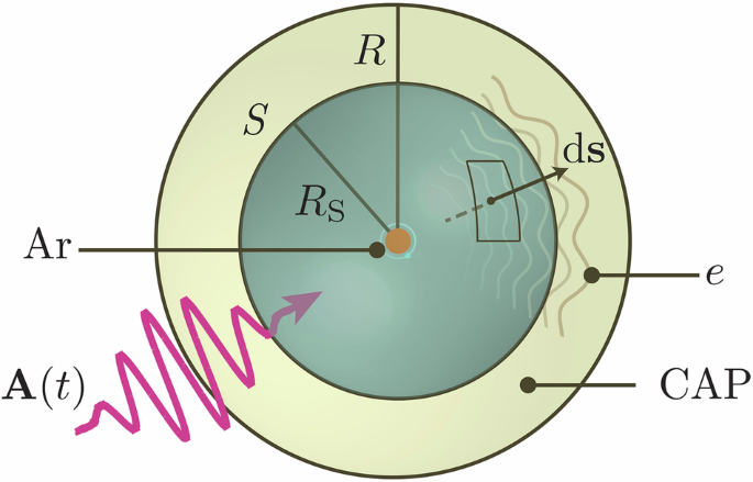 Technical review: Time-dependent density functional theory for attosecond physics ranging from gas-phase to solids