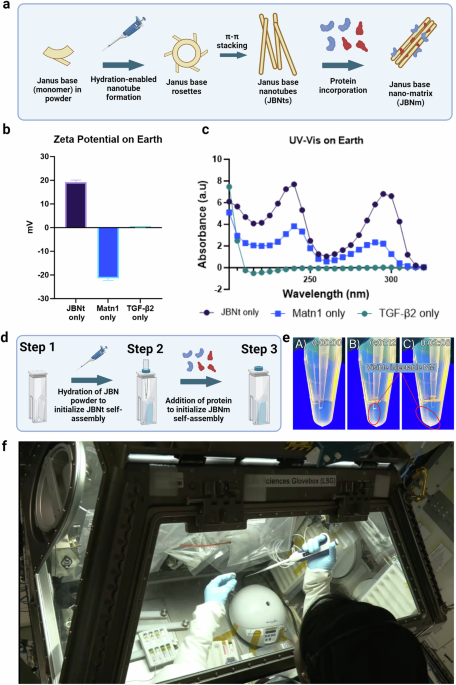 In space fabrication of Janus base nano matrix for improved assembly and bioactivity