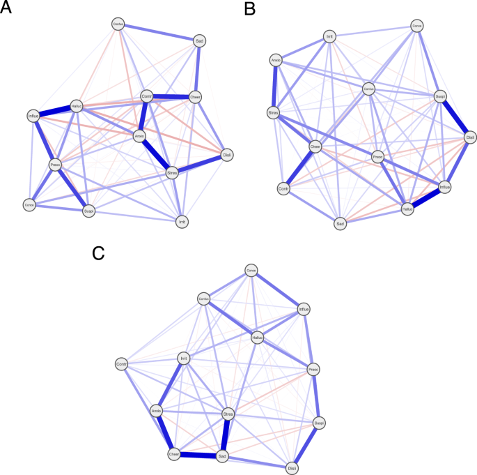 The network approach to psychopathology: investigating inter-individual variability and the association with clinical relapse in psychosis