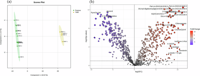 Soil and pasture health underlie improved beef nutrient density determined by untargeted metabolomics in Southern US grass finished beef systems