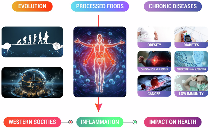 The future of the future foods: understandings from the past towards SDG-2