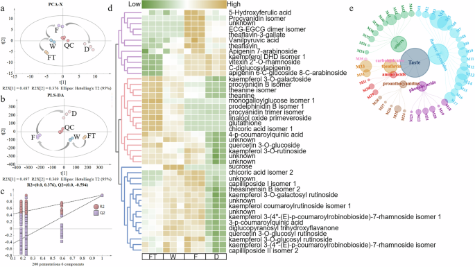 Metabolomics and transcriptomics reveal the quality formation mechanism during the processing of black tea