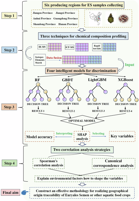 Interpretable AI-driven multidimensional chemical fingerprints for geographical authentication of Euryales Semen
