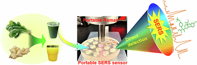 Portable SERS device for rapid detection of indoxacarb and chlorfenapyr in vegetable juice