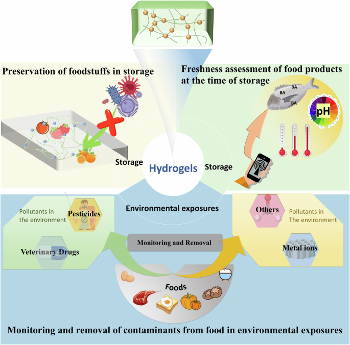 Progress, challenge and perspective of hydrogels application in food: a review
