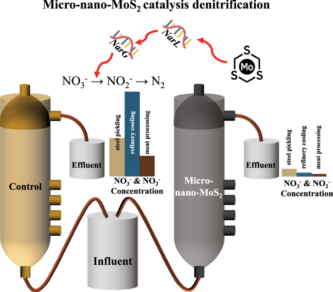 Boosting industrial bio-denitrification through gene activation: the micro-nano-MoS2 enhanced bioprocess