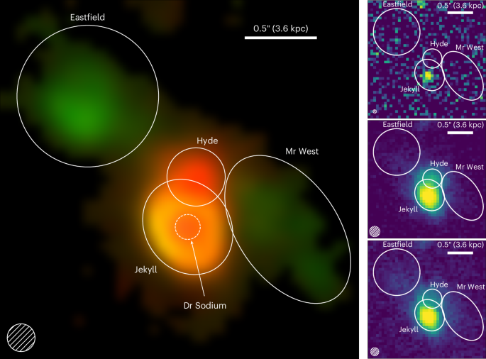 Accelerated quenching and chemical enhancement of massive galaxies in a z ≈ 4 gas-rich halo