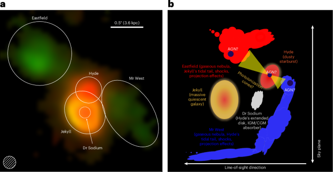 Mapping of an early quenched massive galaxy and its neighbourhood