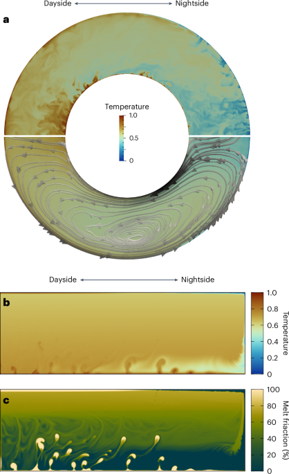 The role of interior dynamics and differentiation on the surface and in the atmosphere of lava planets