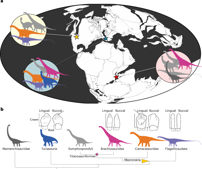 Dental microwear texture analysis reveals behavioural, ecological and habitat signals in Late Jurassic sauropod dinosaur faunas