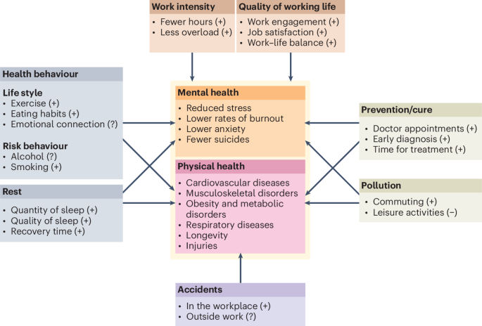 How the four-day working week could affect health
