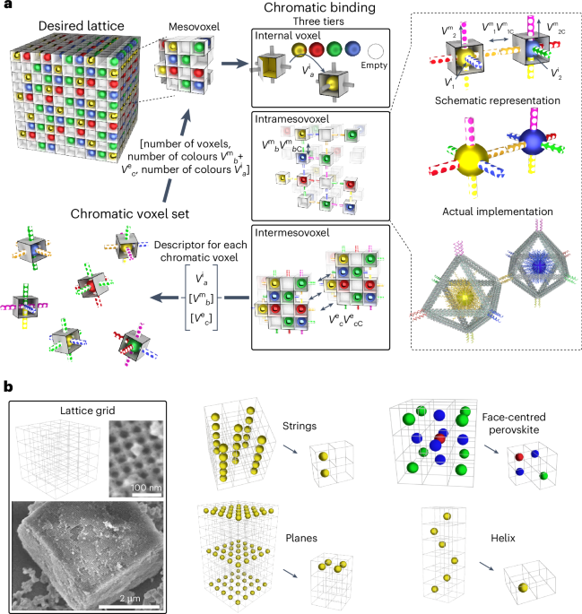 Encoding hierarchical 3D architecture through inverse design of programmable bonds