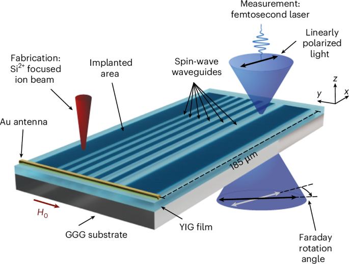 Dispersion-tunable low-loss implanted spin-wave waveguides for large magnonic networks