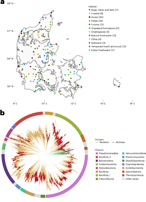 Deep, long-read metagenome sequencing expands knowledge of prokaryotic phylogenetic diversity