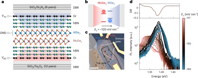 Enhancing interlayer exciton dynamics by coupling with monolithic cavities via the field-induced Stark effect