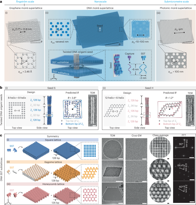 DNA moiré superlattices | Nature Nanotechnology