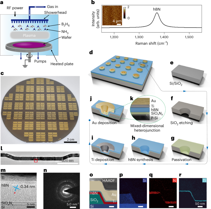 Ultrawide-bandwidth boron nitride photonic memristors