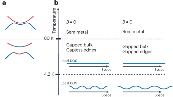 Intertwined orders in a quantum material