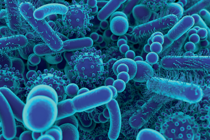 Complex interplay between uraemic toxins, gut microbiota and diet