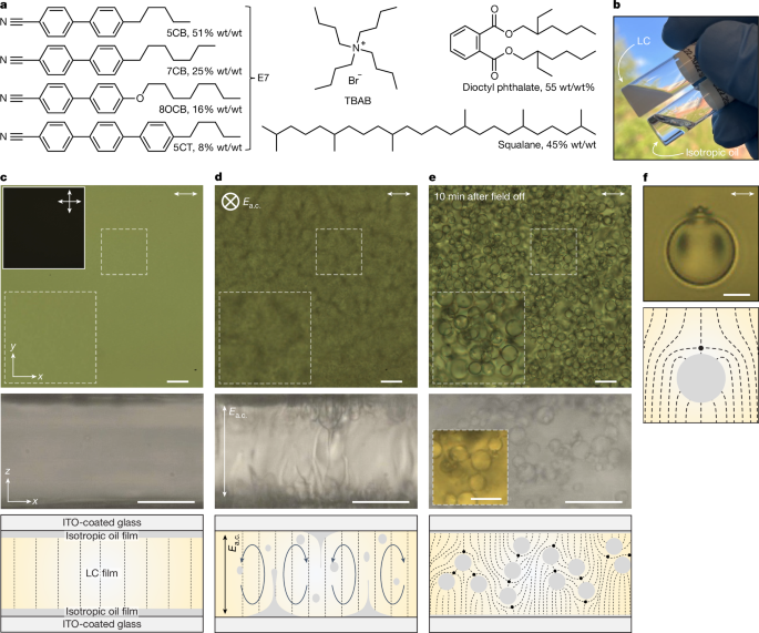 Biphasic liquids with shape-shifting and bistable microdomains