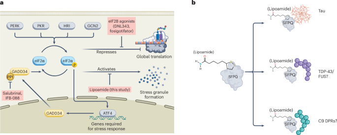 Dissolving stress granules | Nature Chemical Biology