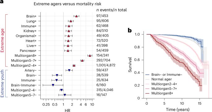 Blood test estimates organ age and predicts disease risk and lifespan