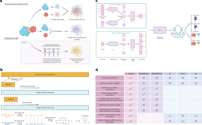 Sliding Window Interaction Grammar (SWING): a generalized interaction language model for peptide and protein interactions