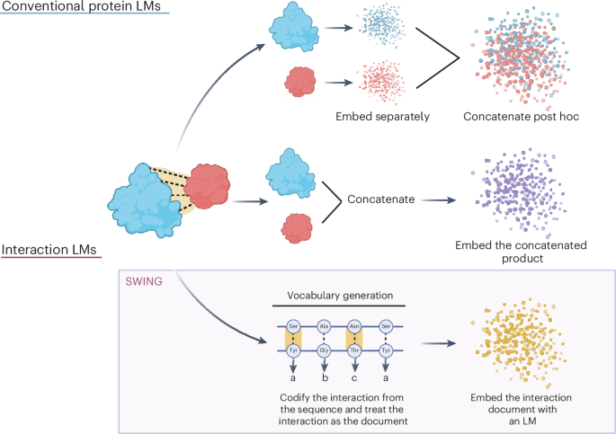 Learning the language of biological interactions