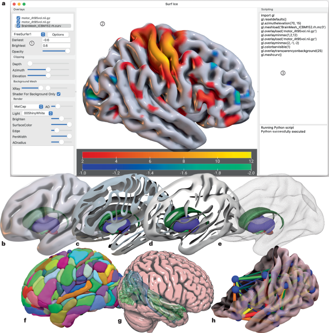 Surfice: visualizing neuroimaging meshes, tractography streamlines and connectomes