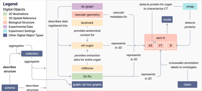 Construction, Deployment, and Usage of the Human Reference Atlas Knowledge Graph